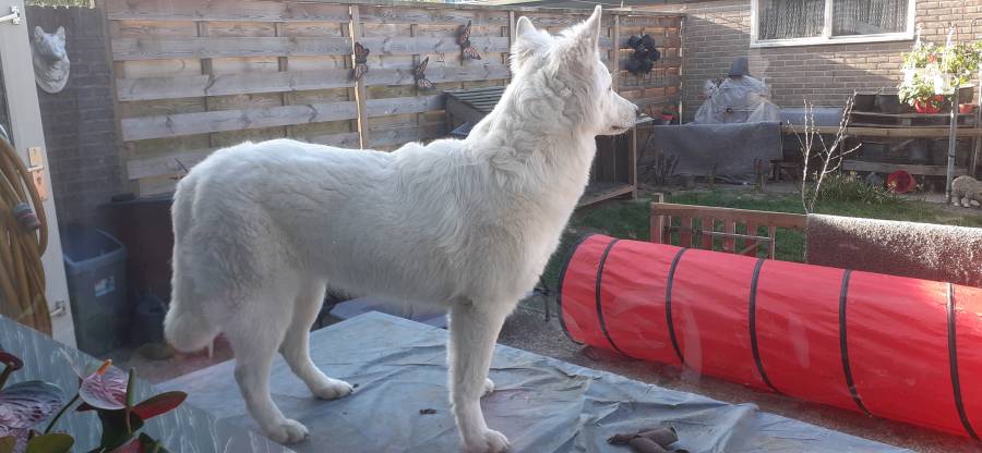 Foto Amy 13
