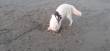 Foto's Amy