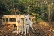 Foto's Amy