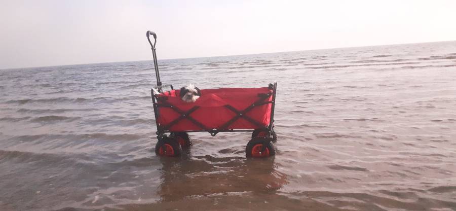 Foto Hannes 17
