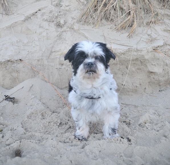 Foto Hannes 23