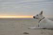Foto's Jerry