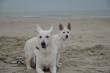 Foto's Jerry