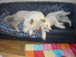 Foto's Jerry