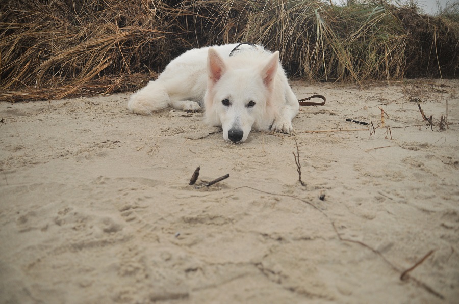 Foto Kyra11
