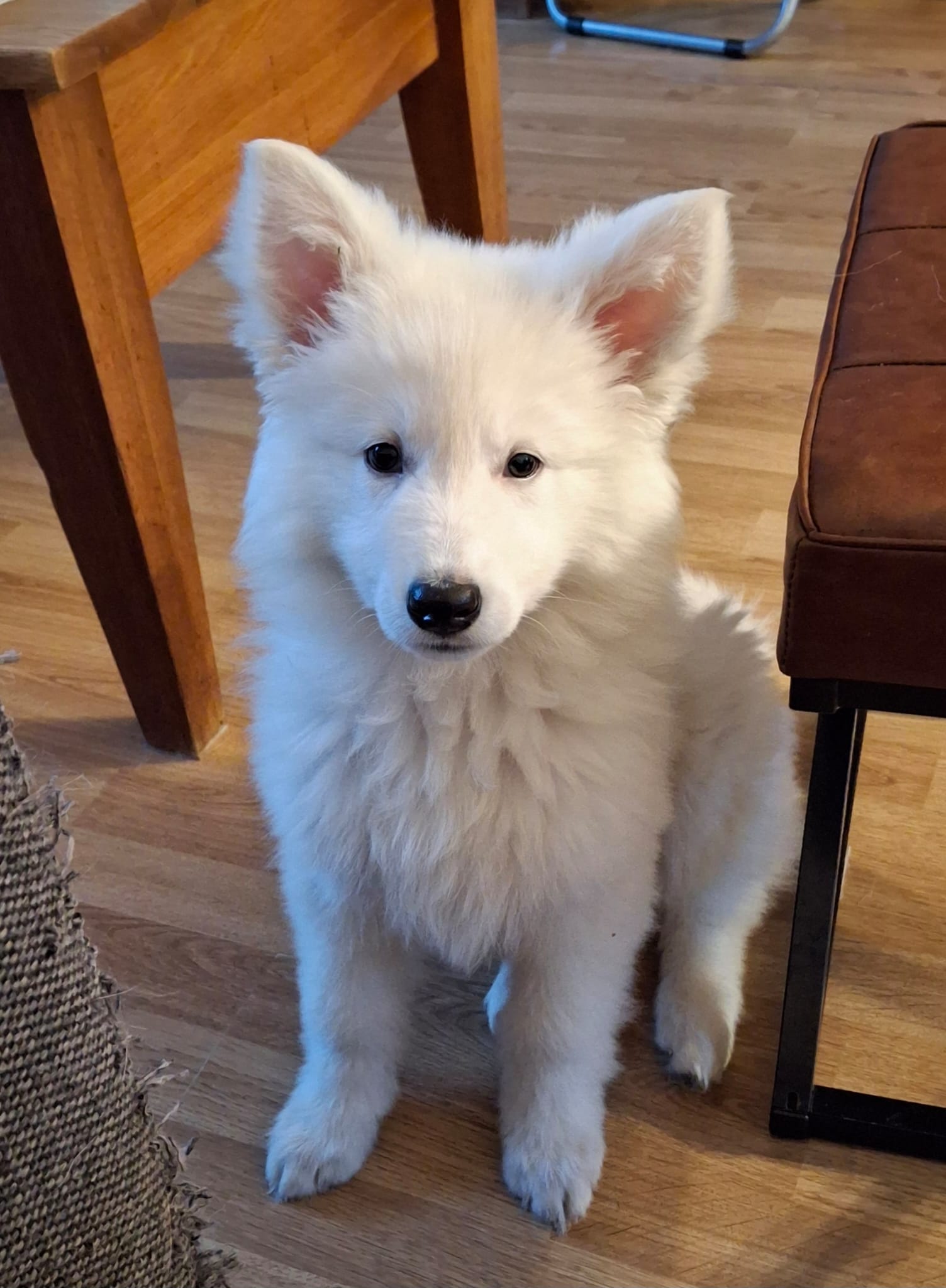 Foto Kyra3