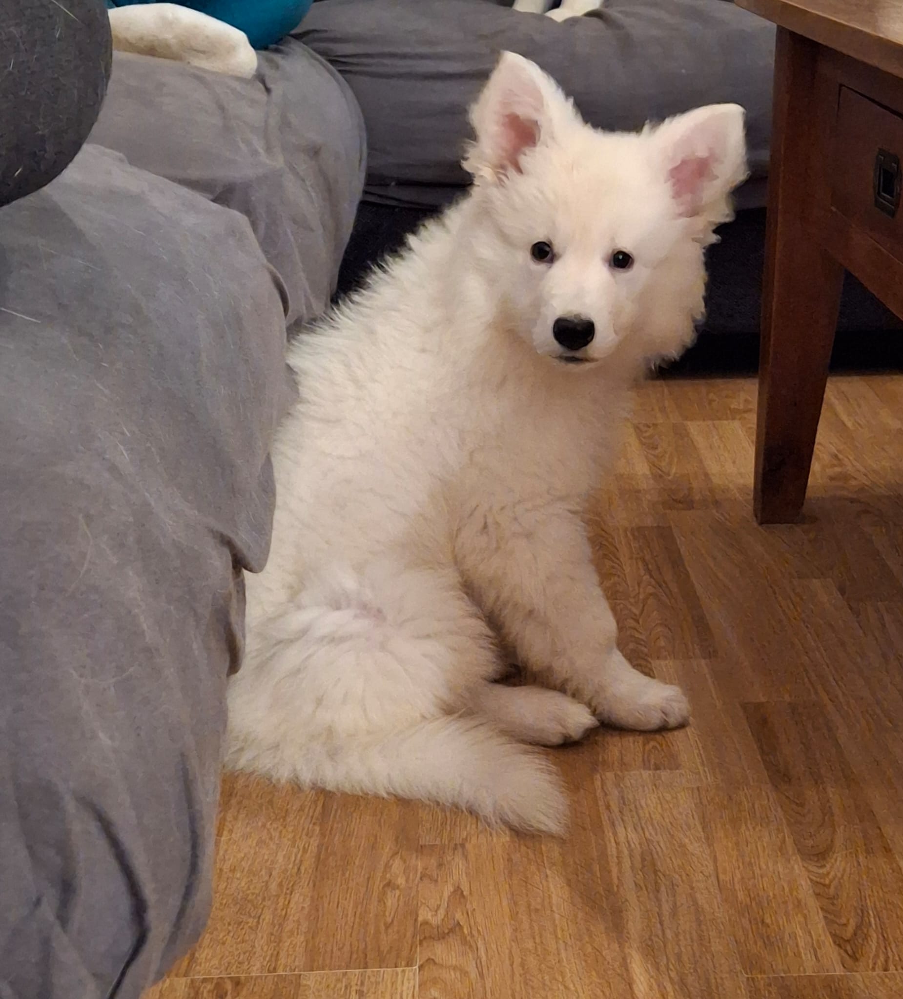 Foto Kyra4