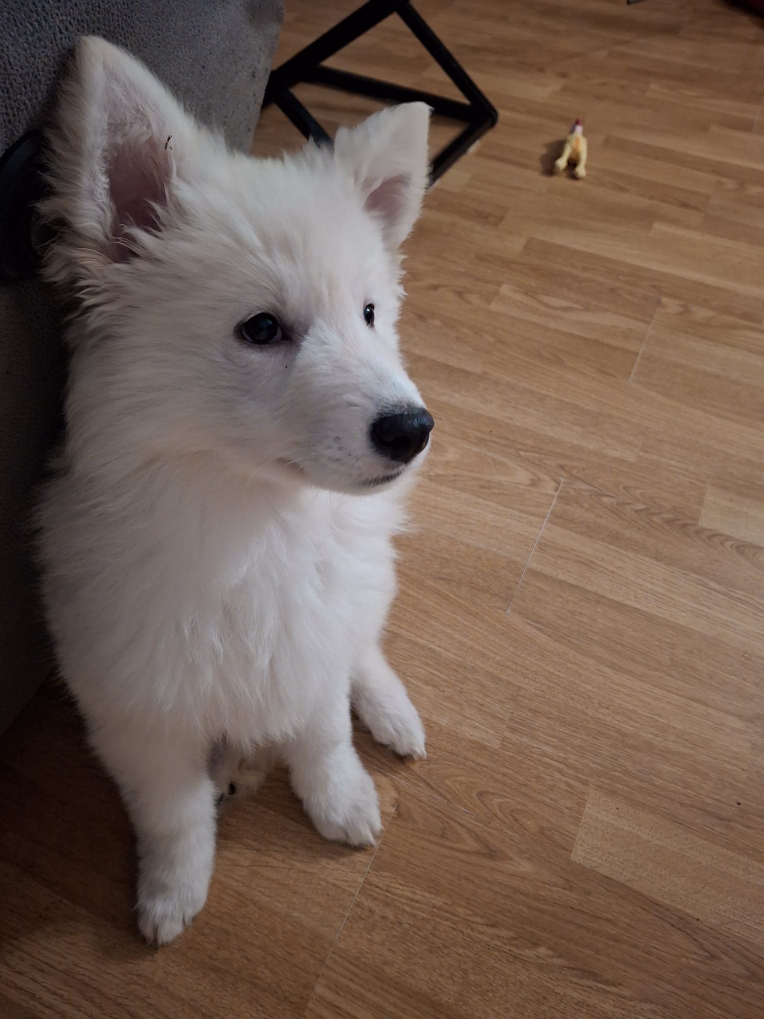 Foto Kyra5