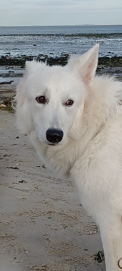 Foto Kyra7