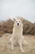 Foto's Kyra