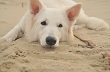 Foto's Kyra