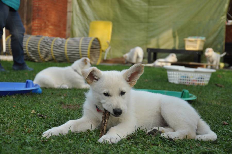 Foto Myla 4