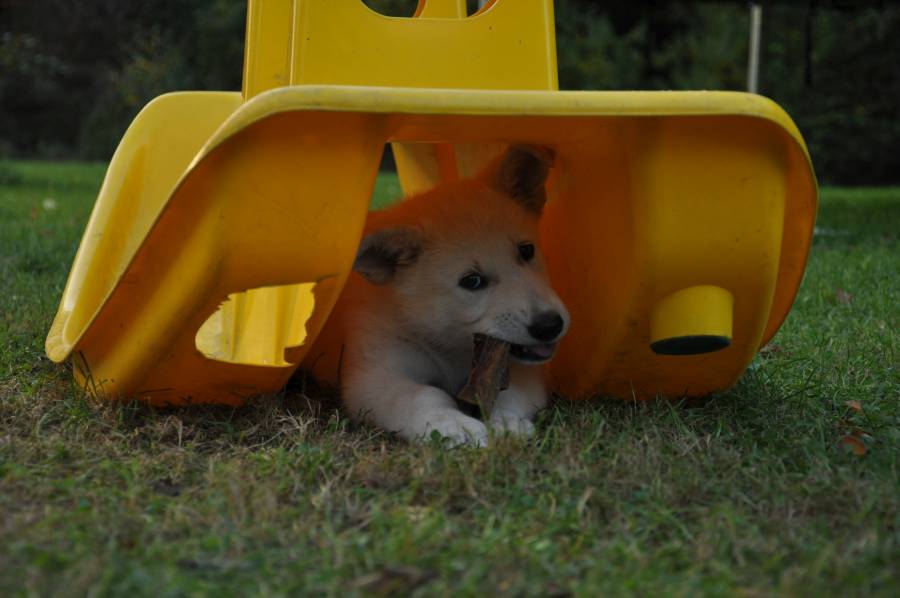 Foto Myla 6