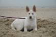 Foto's Myla