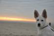 Foto's Myla