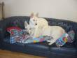 Foto's Myla