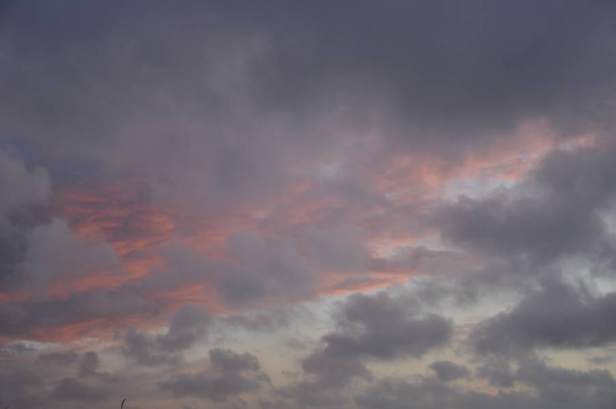 Licht