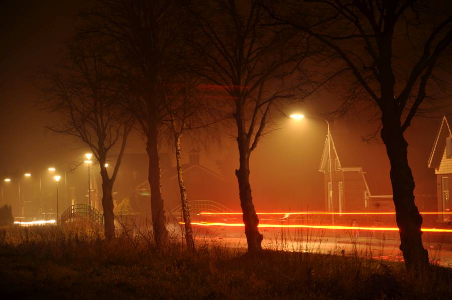 Licht