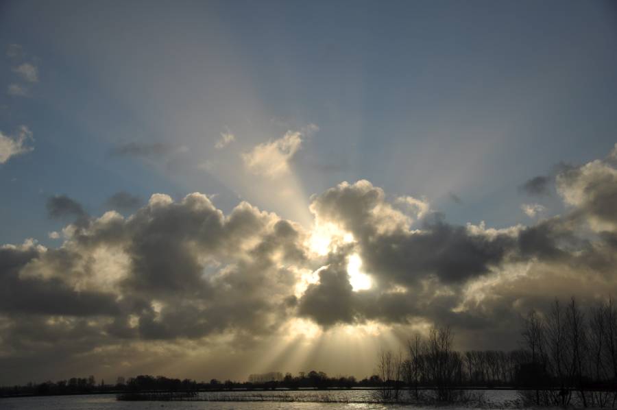 Licht