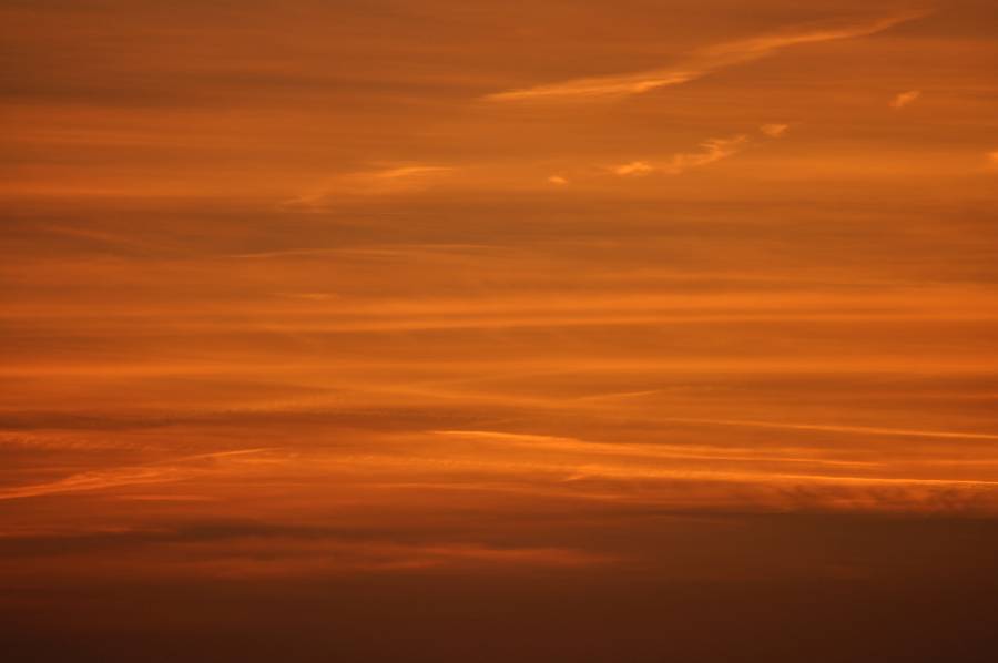 Licht