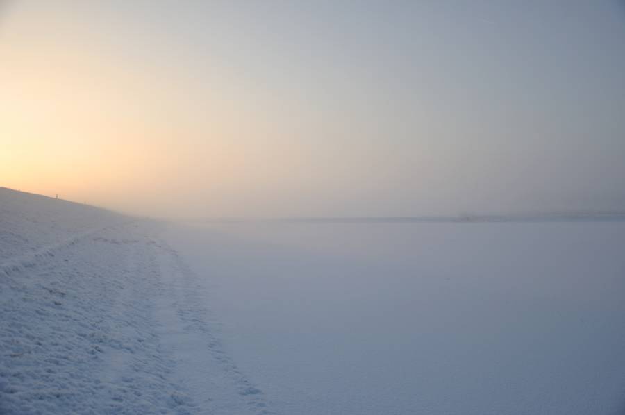 Licht