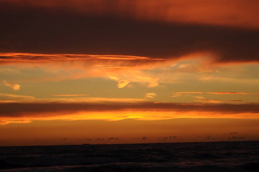 Licht