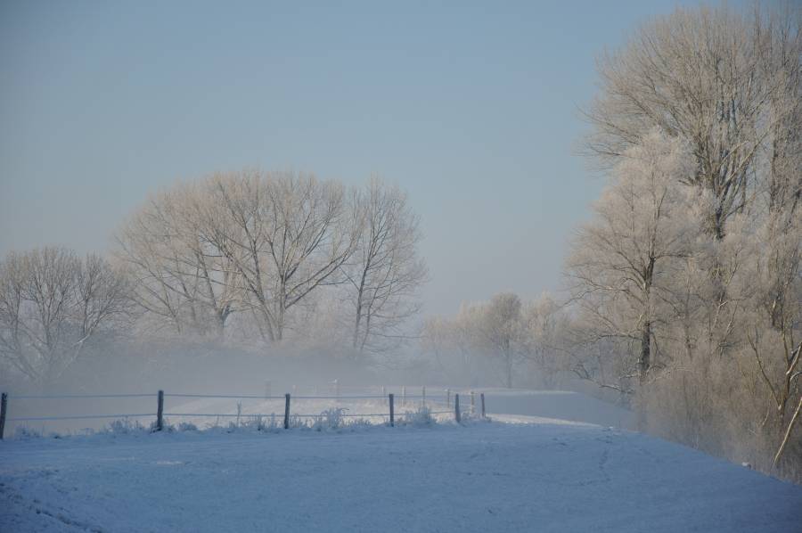 Omgeving