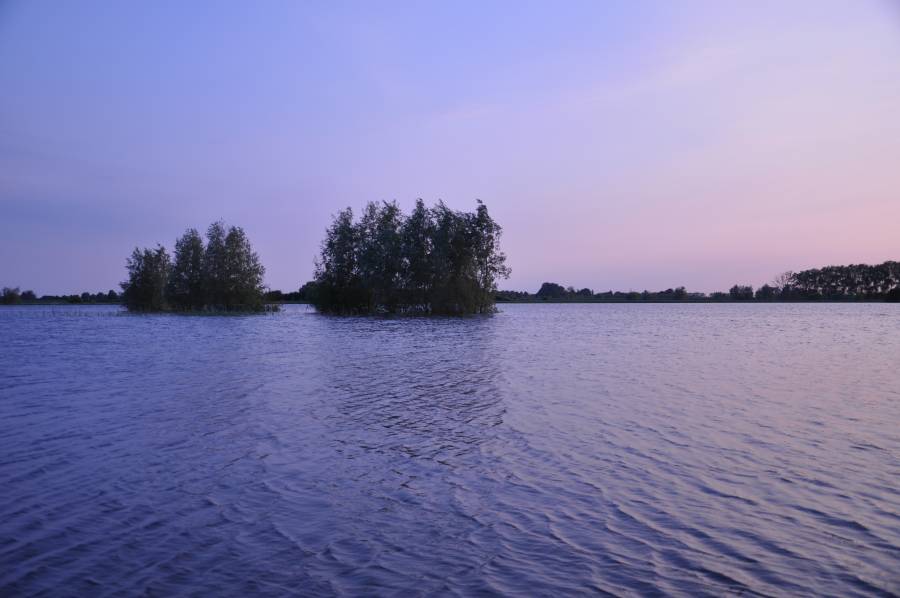 Omgeving