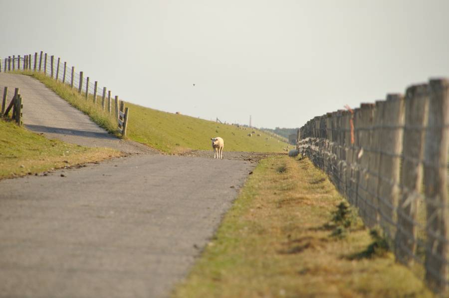Omgeving