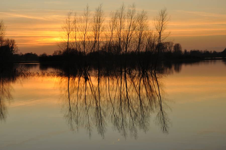 Omgeving